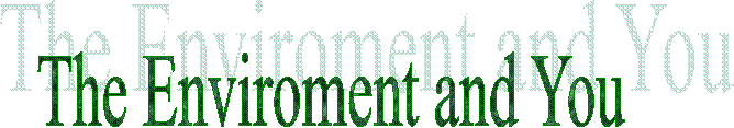 The Enviroment and You